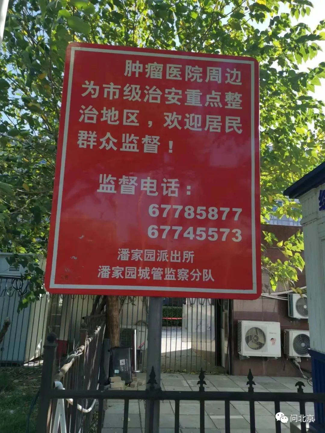 關于中日友好醫院黃牛B超加急陪診跑腿代辦的信息