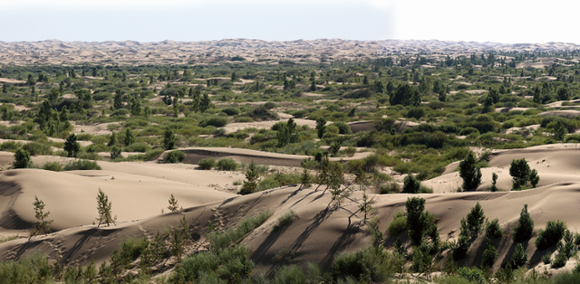 库布其沙漠亿利治理区前后.