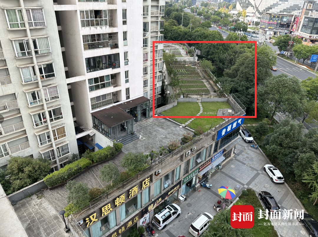 屋顶花园种植有蔬菜、绿植