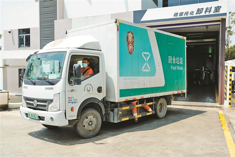 全国首个！餐余食物饲料化利用基地在深挂牌