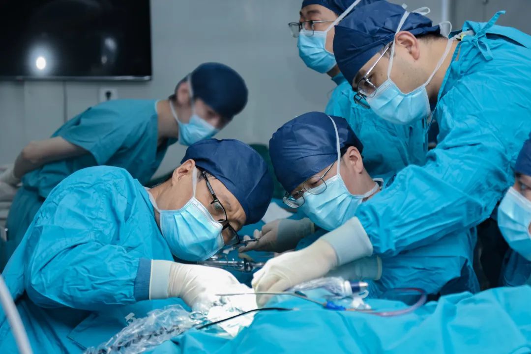 西京医院成功将1只基因编辑猪多个器官组织移植给7只受体猴|器官_新浪