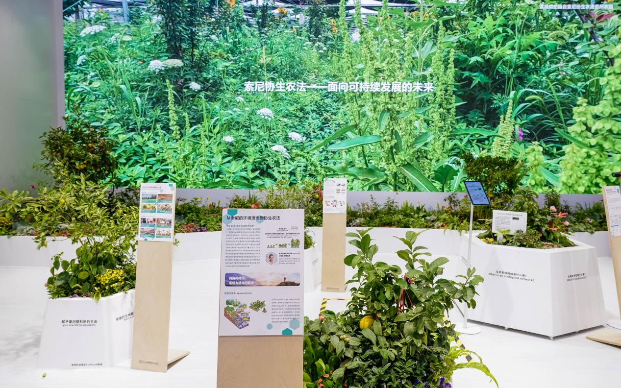 　　进博会索尼展位