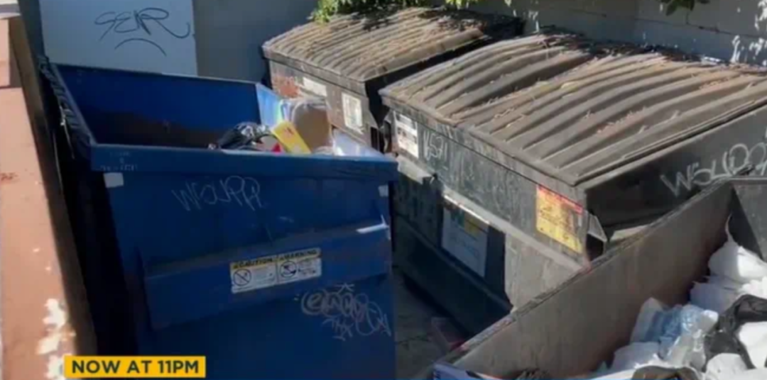 11月7日，一名无业游民在恩西诺一垃圾箱发现一具女性躯体遗骸。（视频截图）