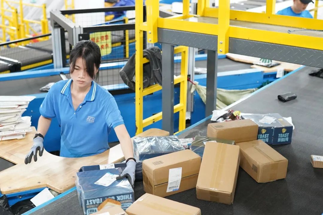 "双11",每个平台都说自己是"全网最低价"!这个"最低价"好找吗?|双11_