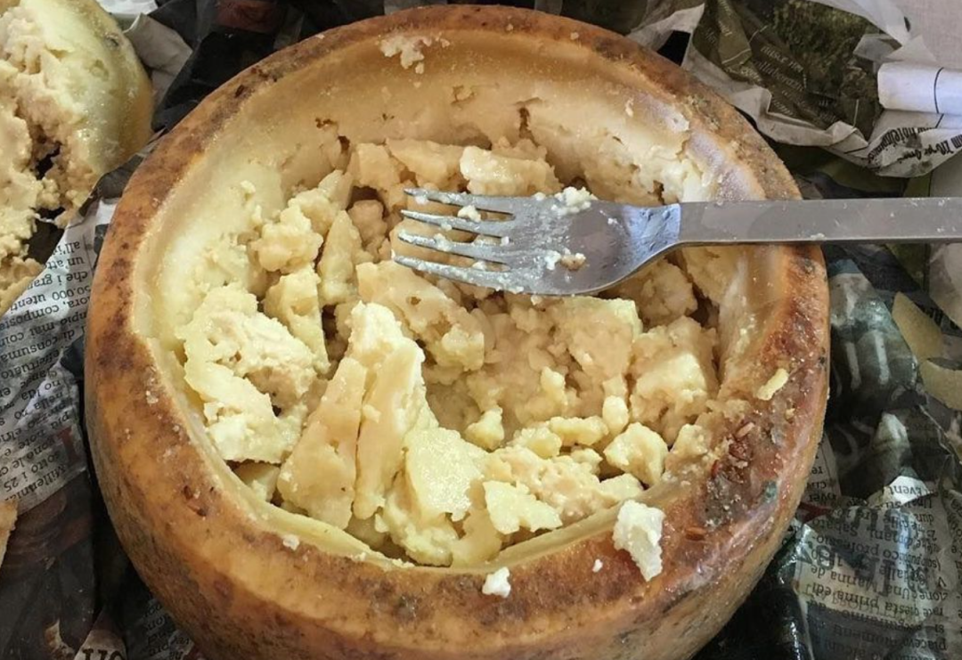 这种让人疯狂的顶级美食,打开瞬间爬出无数蛆虫…… | 荐书