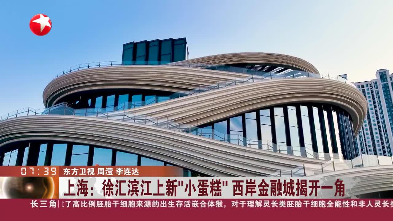 上海:徐汇滨江上新"小蛋糕" 西岸金融城揭开一角