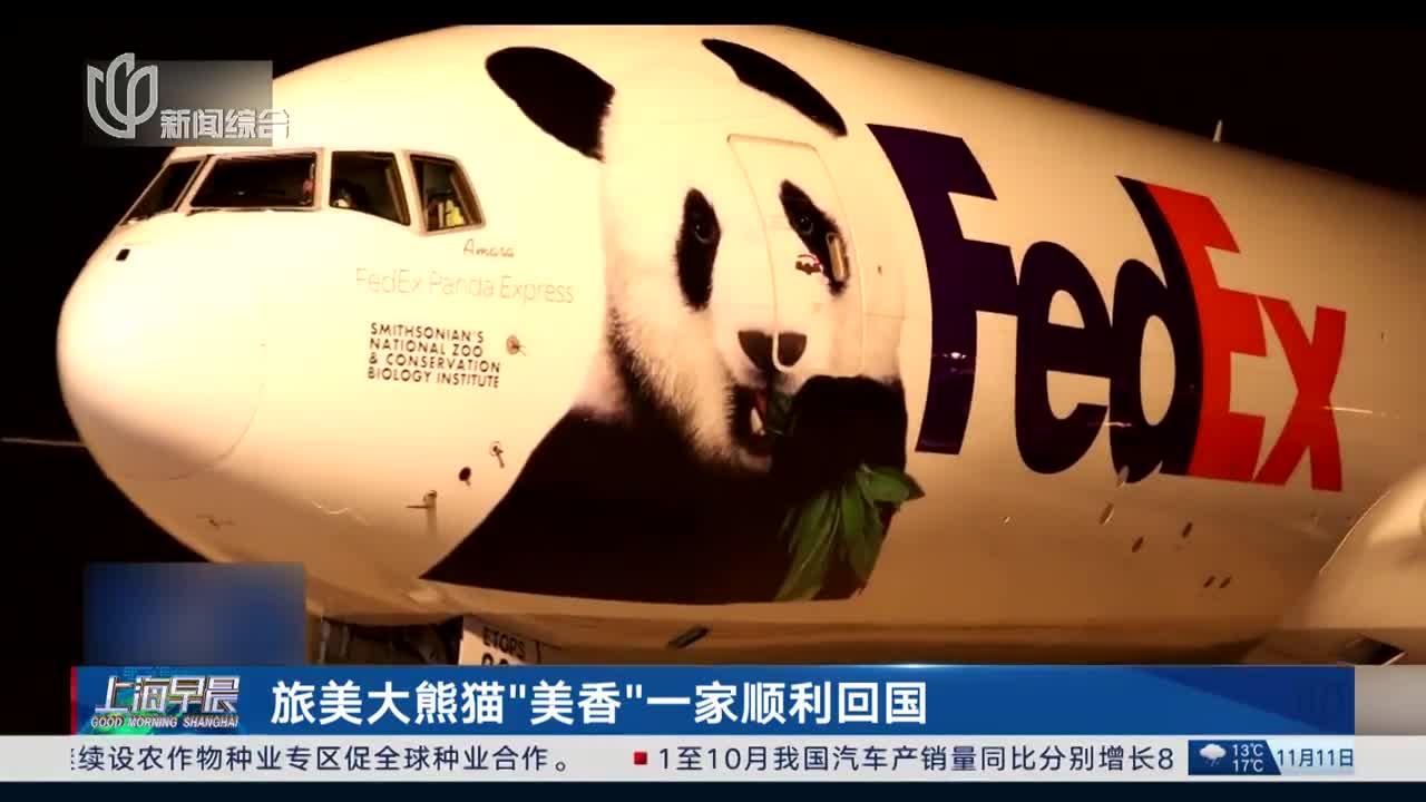 旅美大熊猫"美香"一家顺利回国
