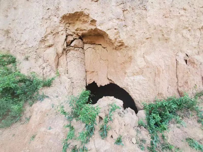 洛阳地区被盗挖的墓