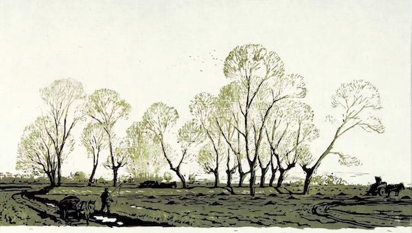 看新兴木刻经典名作,古元,曹文汉师生展在沪举办|画家_新浪财经_新浪