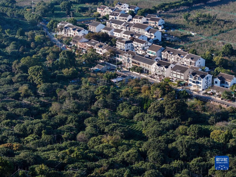 苏州树山村:田园景色美 民宿引客来|民宿|江苏省|苏州市_新浪新闻