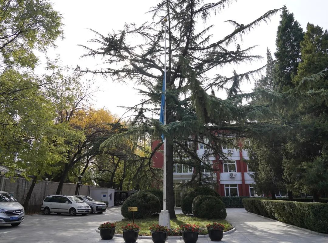 11月13日，联合国驻北京机构降半旗，哀悼在加沙丧生的联合国工作人员。图源：联合国驻北京机构官方社交媒体账号