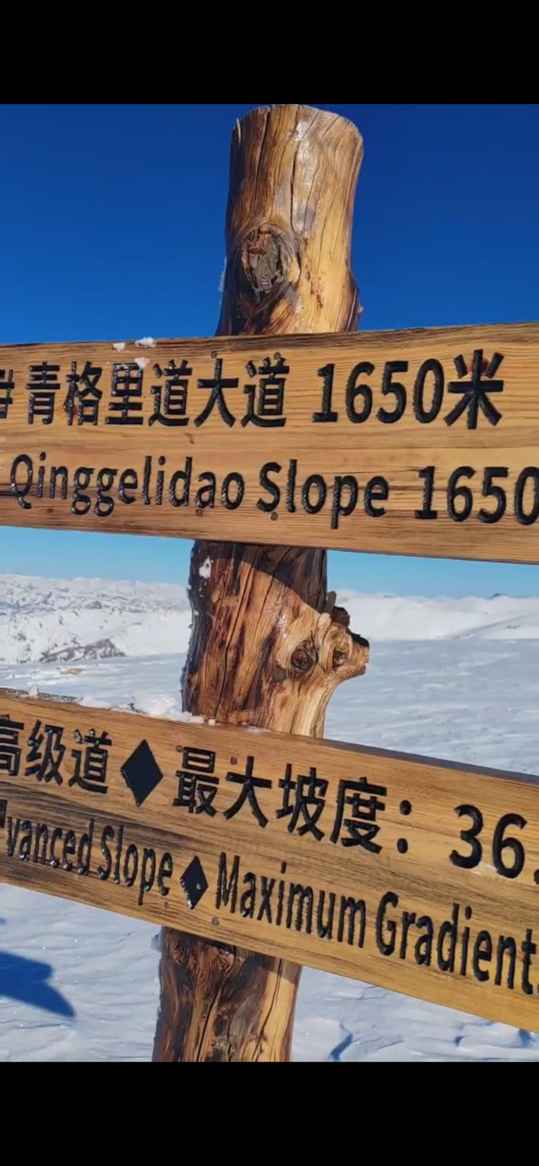 小说：青帽杵作传人遭怪尸缠身？三枚大印一出手，死人开口道真相