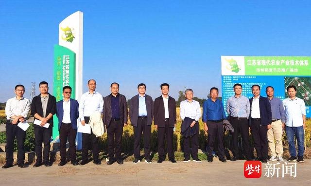 连日,扬州市广陵区头桥镇庆丰村,江苏省现代农业(稻麦)产业技术体系