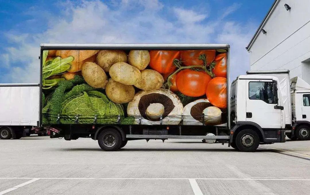 双"十一"实为运力大考,混动才是城市运输的未来?