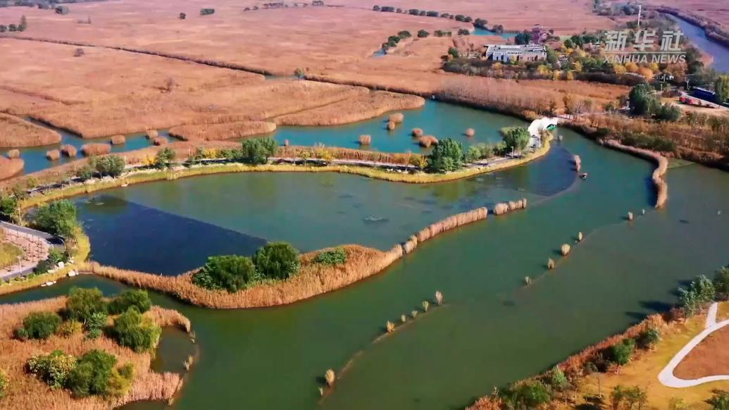 山东淄博:马踏湖景色迷人