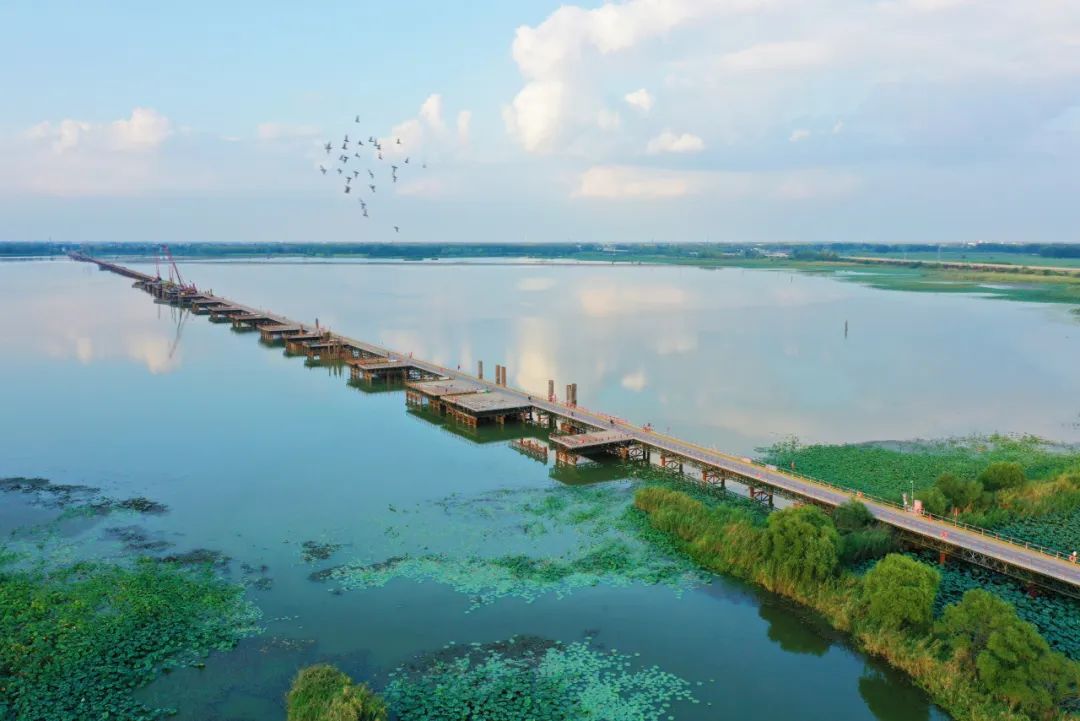 合新高铁沱湖特大桥