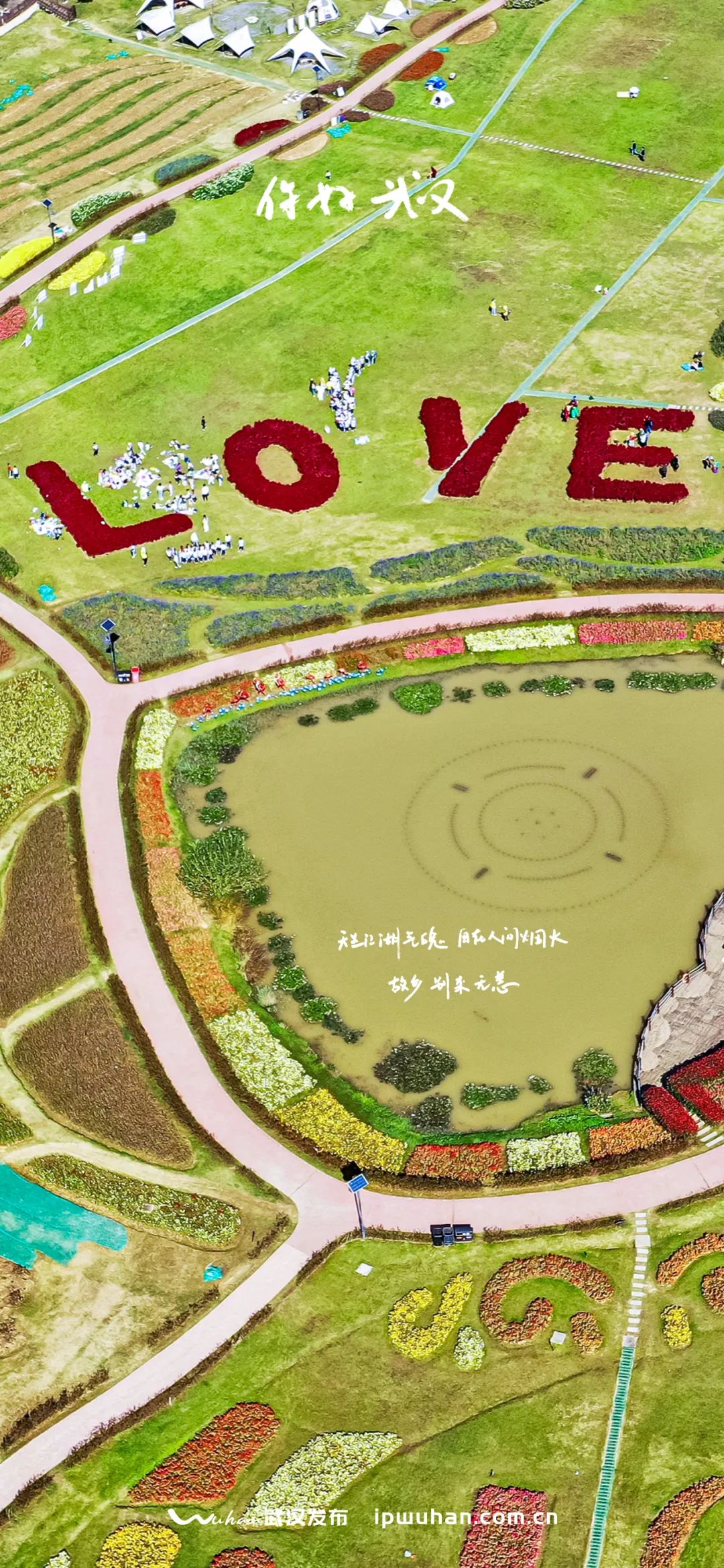 爱满大地 城市摄影队 魏新海 摄于武汉花博汇