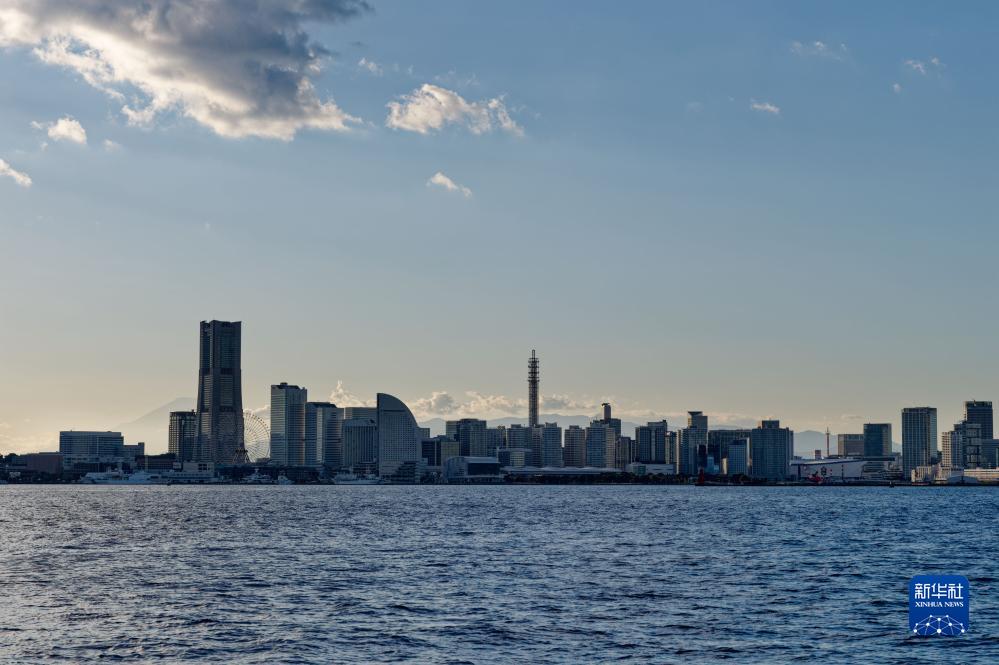 这是11月14日拍摄的日本横滨.新华社记者 张笑宇 摄