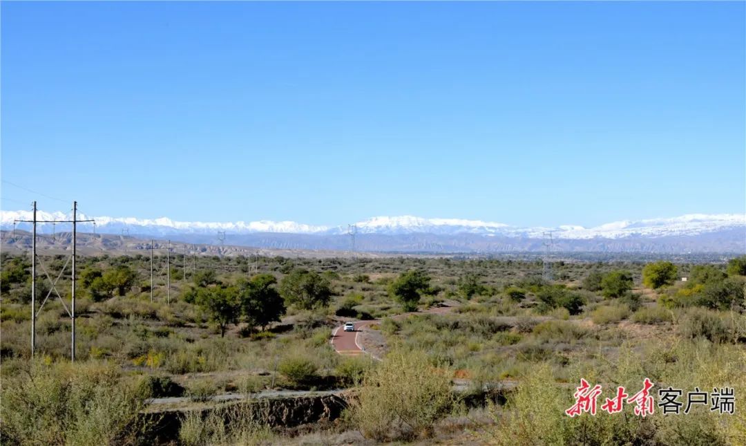 古浪县八步沙林场眼窝子沙治沙点.新甘肃·甘肃日报记者 金奉乾摄