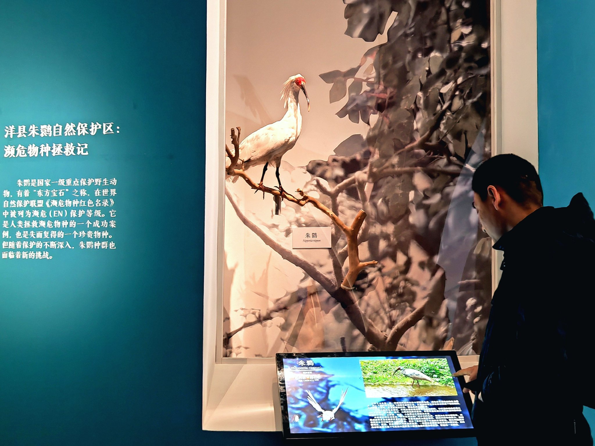 "共同家园——大自然的奇迹"展览在中国国家博物馆正式对外展出|中国