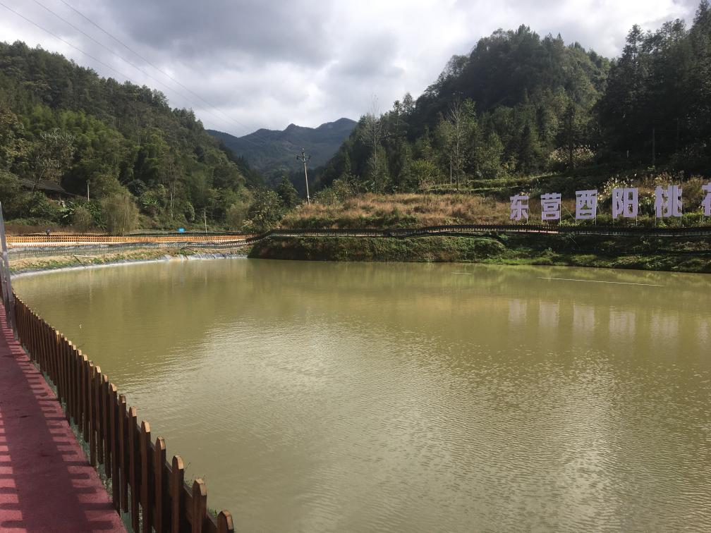 图为重庆酉阳县黑水镇平地坝村大闸蟹示范基地.(资料图片)