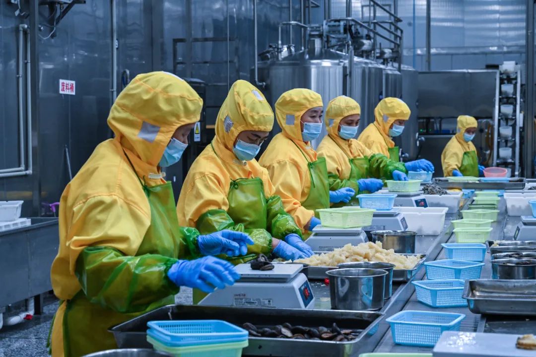 工人在预制菜加工生产线作业 周义 摄