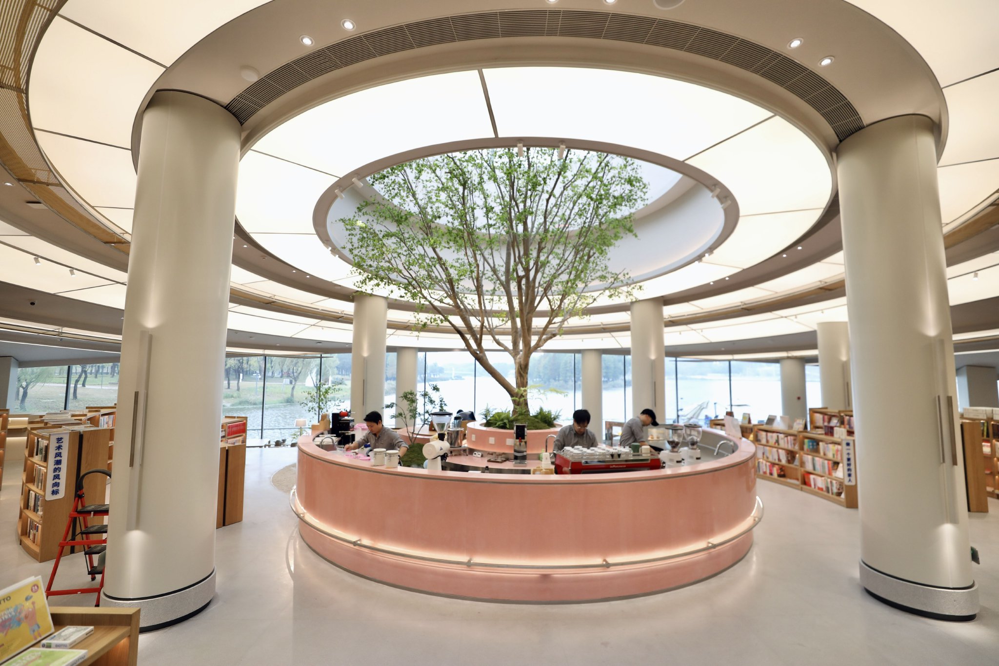 中庭岛台围绕着一棵大树