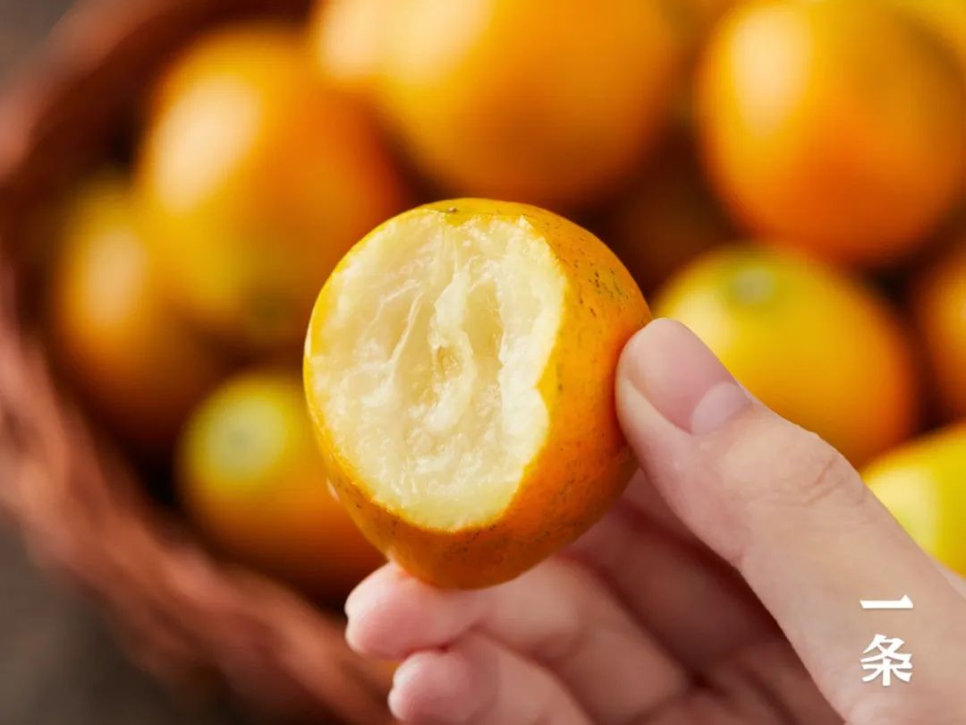 广西融安脆蜜金桔,皮薄汁多,富含维c,颗颗冰糖心_新浪财经_新浪网