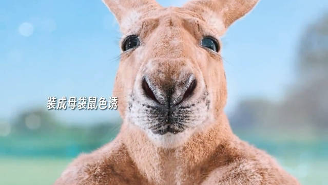 刚子：有时候当袋鼠也挺无助的 《独行月球》|黄子韬|沈腾|马丽|佳片|奇遇_新浪新闻