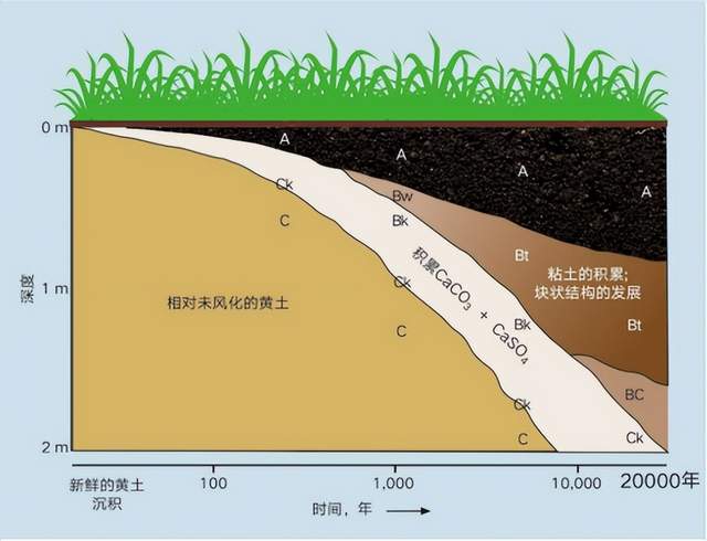 黑土地的形成示意图