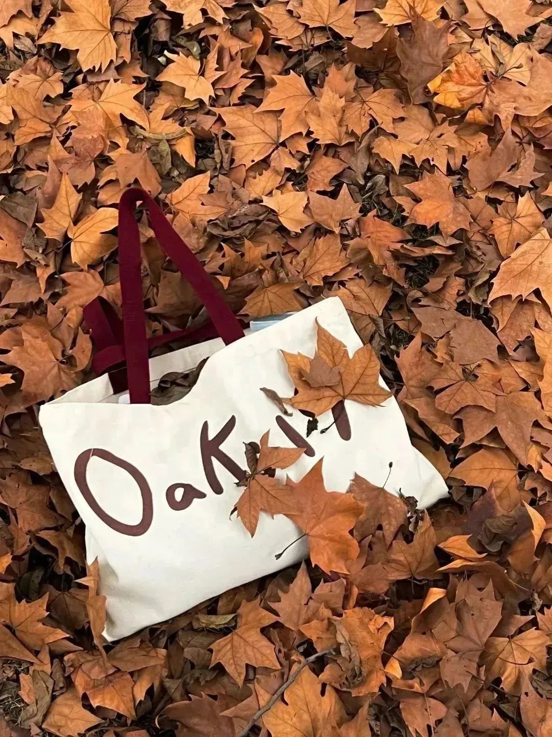 小布摄影团丨秋意浓郁的上海,串联起整个美拉德色系|上海市_新浪财经