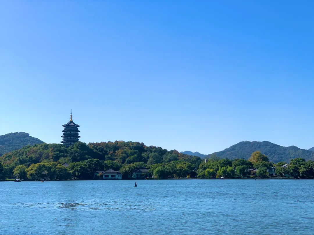 西湖边限量款浪漫风景,抓紧去看|杭州市_新浪财经_新浪网