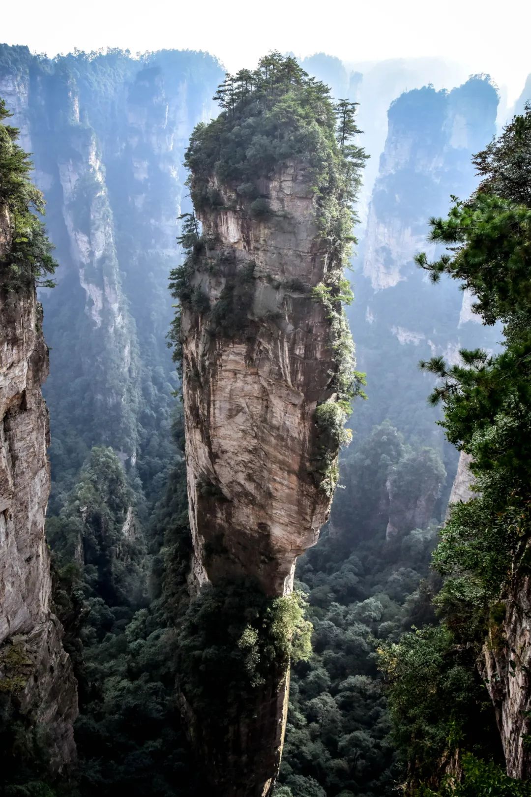 张家界的《阿凡达》悬浮山(乾坤柱).(图/unsplash)