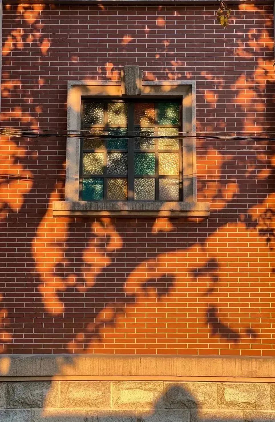 小布摄影团丨秋意浓郁的上海,串联起整个美拉德色系|上海市_新浪财经