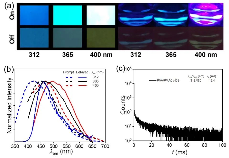 北师大汪辉亮团队制备具有室温磷光发射的高强度水凝胶