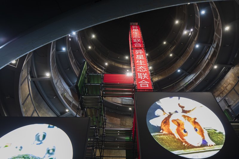 约纳斯·斯塔尔 《异星生态》 2023年 装置 尺寸可变 艺术家惠允 图片来源：上海当代艺术博物馆PSA