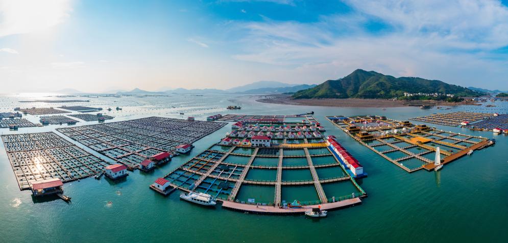 这是2023年8月17日拍摄的福建宁德霞浦溪南镇七星海上社区(无人机