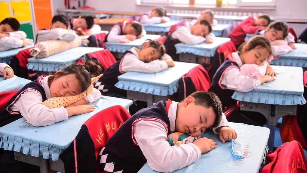 教育部答复“关于尽快实施午休‘舒心躺睡’工程的建议”|教育部_新浪新闻