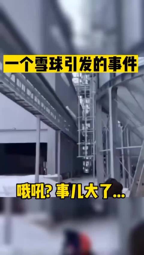一个雪球引发的连锁反应!|连锁反应_新浪新闻