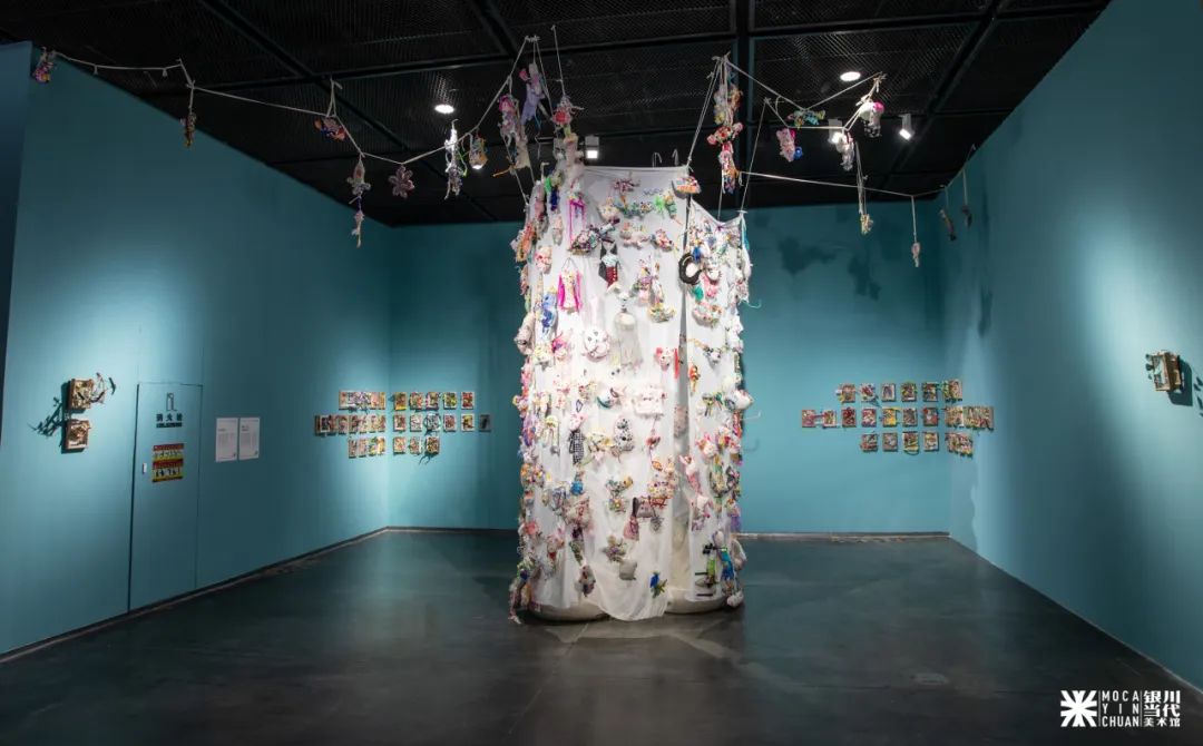 "一颗种子的旅行-西北艺术种植计划"展览现场