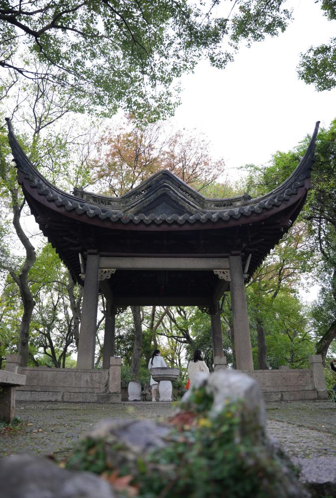 文旅新探|苏州沧浪亭:近水远山皆有情