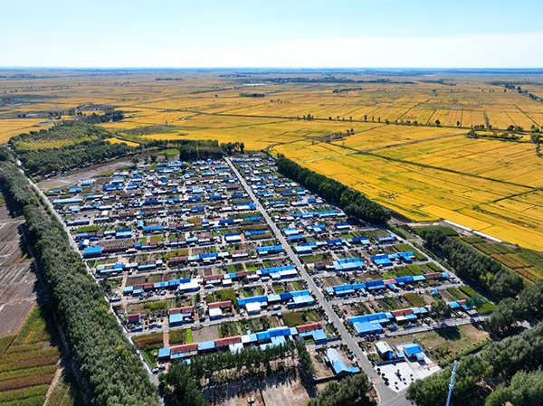 镇赉县五棵树镇铁力村航拍照片.(报道员潘晟昱摄)