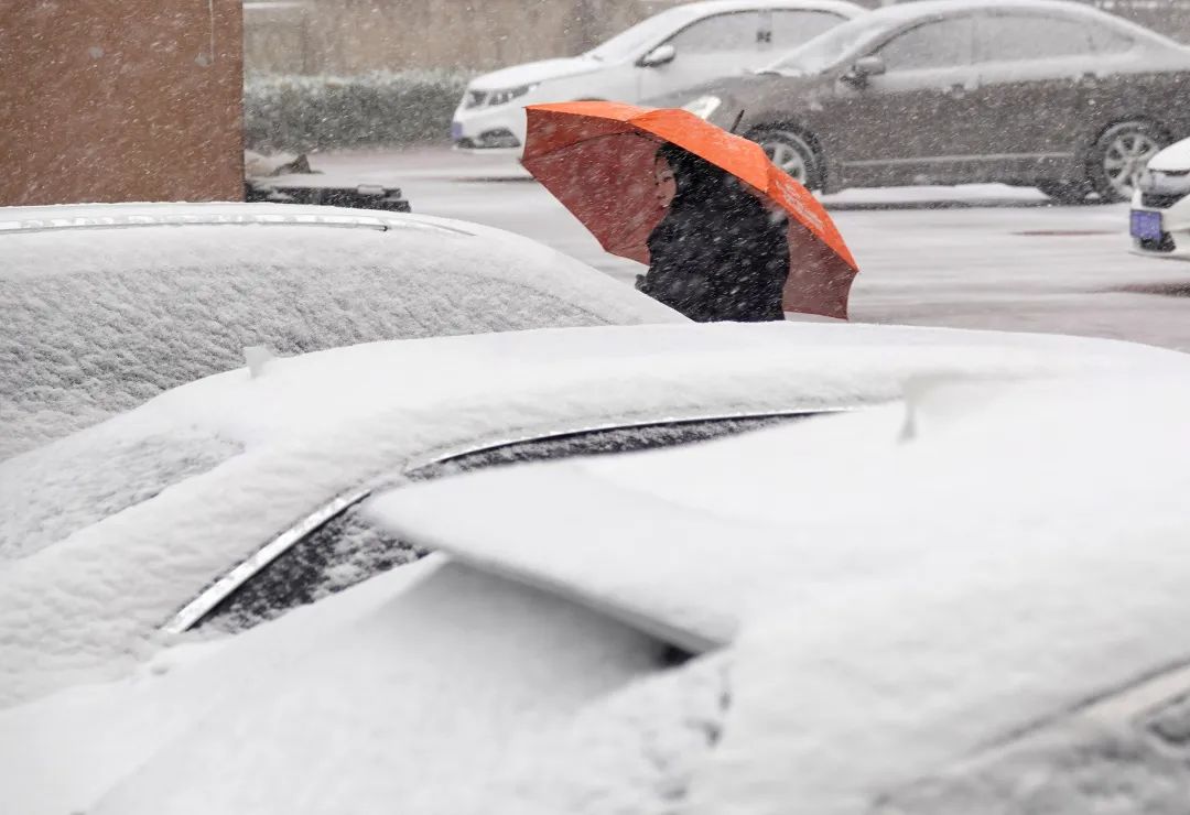 11月24日,烟台市民在街头冒雪出行.图/视觉中国