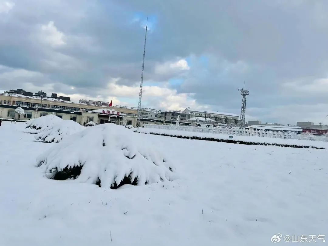 今天青岛下雪了网友这雪我真是笑了没等到大雪冷空气又要来了2728日新
