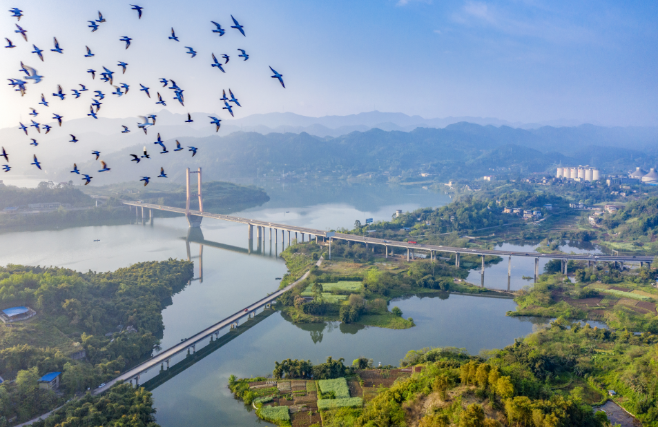 合川三江国家湿地公园&nbsp;市林业局供图