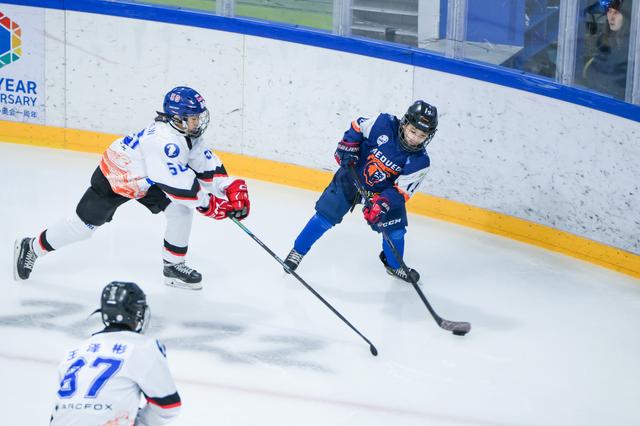 常识积累:冰上运动项目有哪些?爱游戏- 爱游戏体育- AYX爱游戏体育官方网站