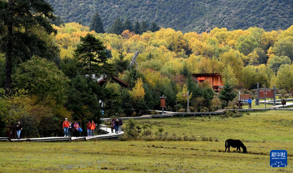 游人在云南迪庆州普达措景区里游览.新华社记者 蔺以光 摄