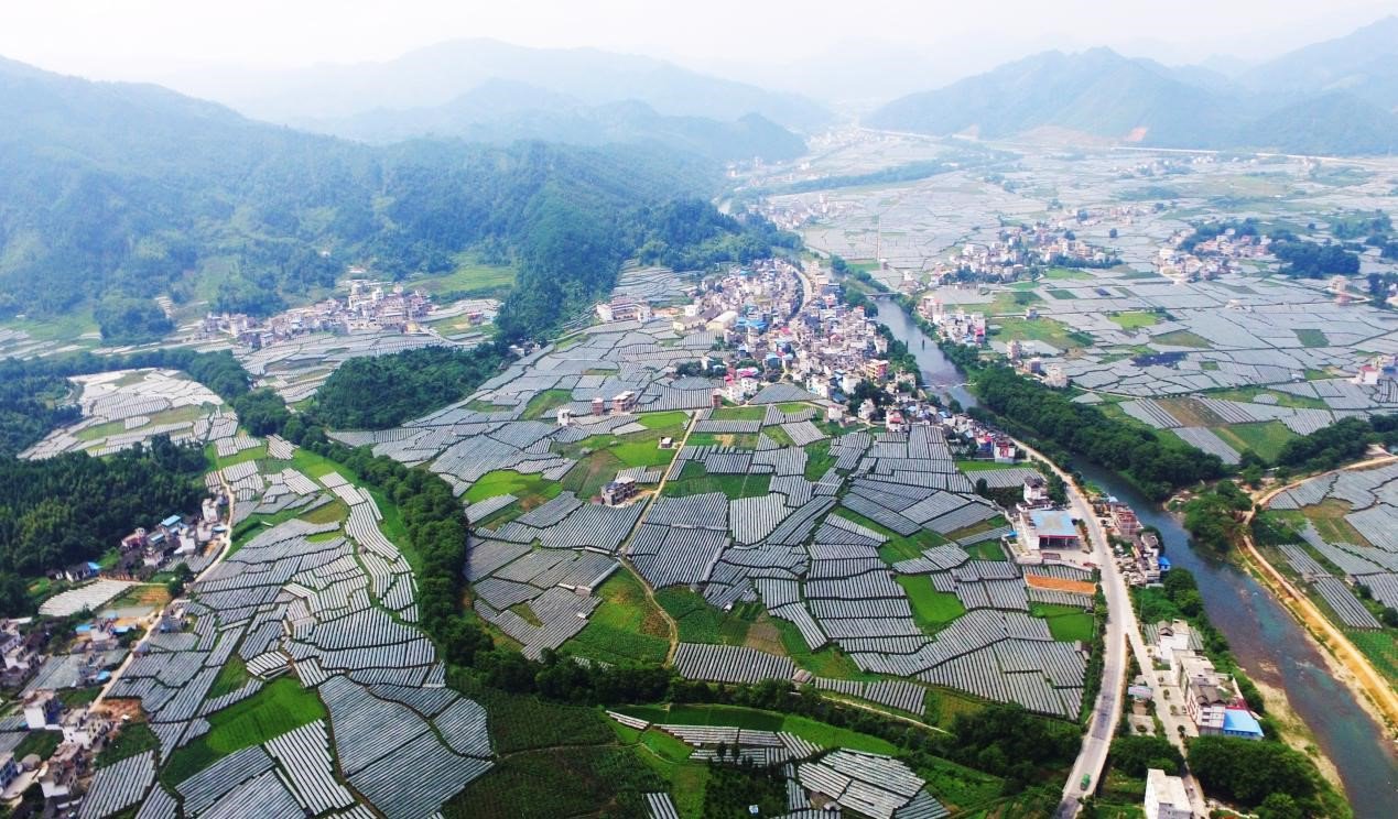 资源县乡村振兴局供图