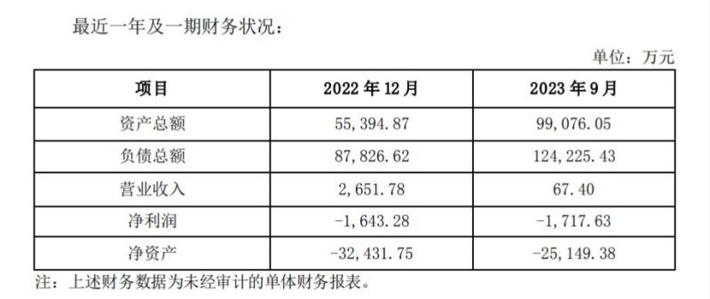 百汇达主要财务数据。图片来源：光环新网公告