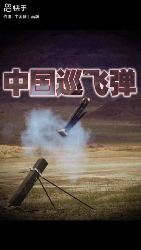 独具中国特色！国产巡飞弹亮相，可单兵，可蜂群|武器_新浪新闻